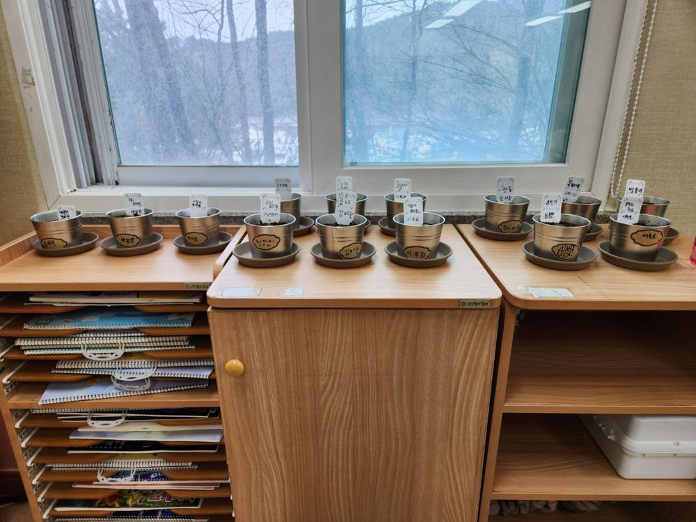 이미지 대체문구를 입력하세요